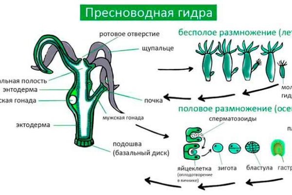 Дарк маркетплейс кракен