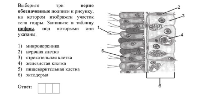 Кракен не работает сайт